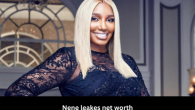 Nene leakes net worth